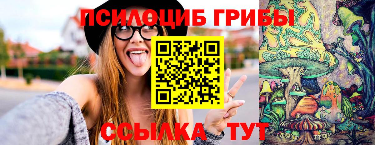 Ревда  Псилоцибиновые грибы Magic Shrooms  Вход с VPN  Псилоцибиновые грибы Psilocybe 